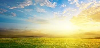 Banner Picture